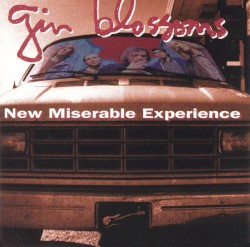 Gin Blossoms - New Miserable Experience (1992)