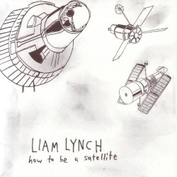Liam Lynch - How To Be A Satellite (2006)